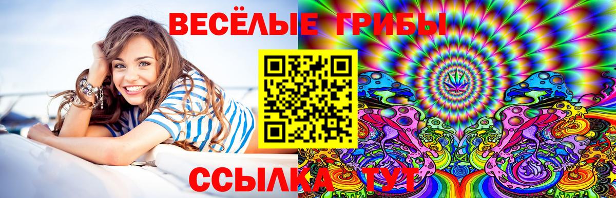 Галлюциногенные грибы Psilocybine cubensis Кропоткин