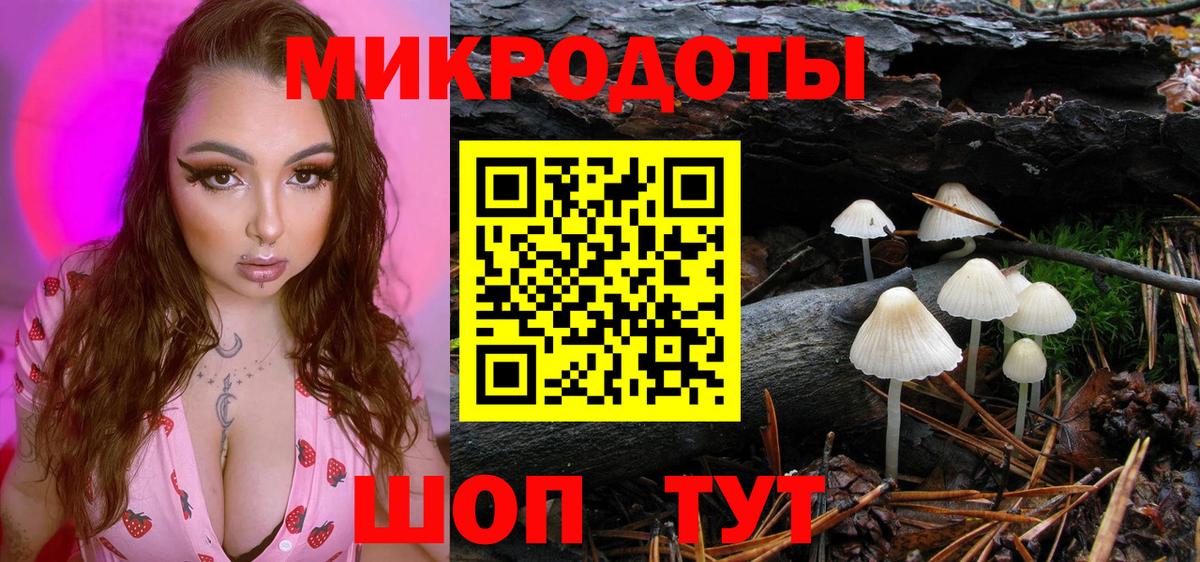 Псилоцибиновые грибы GOLDEN TEACHER  Вход с VPN  Псилоцибиновые грибы прущие грибы  Кропоткин 